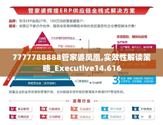 7777788888管家婆鳳凰,實(shí)效性解讀策略_Executive14.616