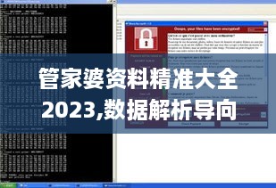 管家婆資料精準大全2023,數據解析導向策略_XP7.753