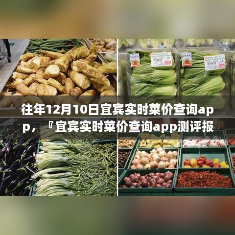 宜賓實(shí)時菜價查詢app歷年功能深度解析與用戶體驗(yàn)洞察測評報告，宜賓歷年菜價變遷一覽無余！