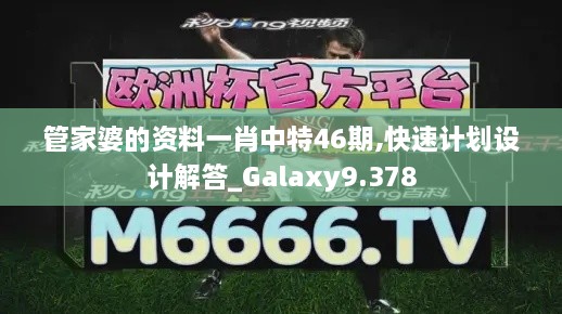 管家婆的資料一肖中特46期,快速計劃設(shè)計解答_Galaxy9.378