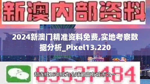 2024新澳門精準(zhǔn)資料免費,實地考察數(shù)據(jù)分析_Pixel13.220