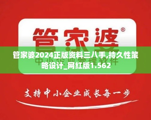 管家婆2024正版資料三八手,持久性策略設(shè)計_網(wǎng)紅版1.562