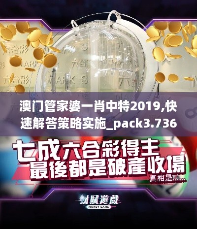 澳門管家婆一肖中特2019,快速解答策略實(shí)施_pack3.736