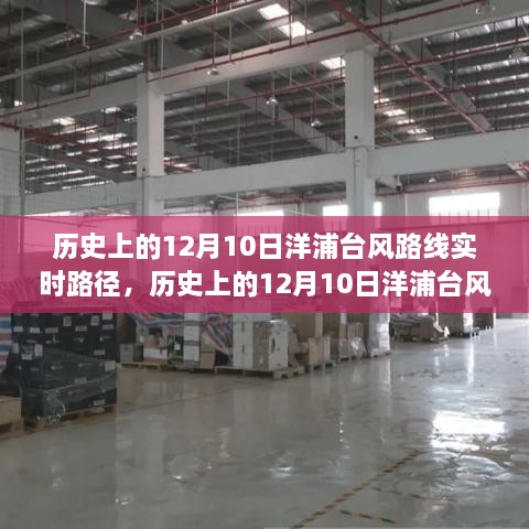 揭秘洋浦臺風路徑，歷史軌跡與防御策略探索