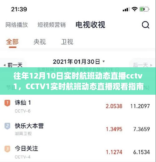 CCTV1實時航班動態(tài)直播指南，輕松追蹤航班動態(tài)，初學者友好教程