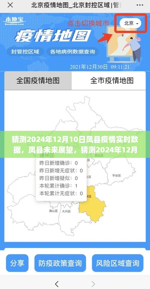 鳳縣未來展望，預(yù)測(cè)疫情實(shí)時(shí)數(shù)據(jù)背后的故事