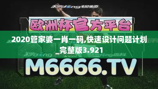 2020管家婆一肖一碼,快速設(shè)計問題計劃_完整版3.921