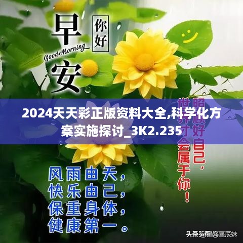 2024天天彩正版資料大全,科學(xué)化方案實(shí)施探討_3K2.235