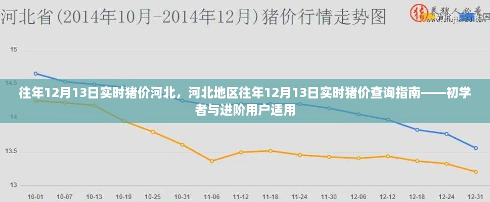 河北地區(qū)歷年12月13日實時豬價查詢指南，初學(xué)者與進階用戶必備參考