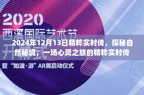 探秘自然秘境，心靈之旅的精粹實(shí)時傳（2024年12月13日）