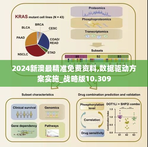 2024新澳最精準免費資料,數(shù)據驅動方案實施_戰(zhàn)略版10.309