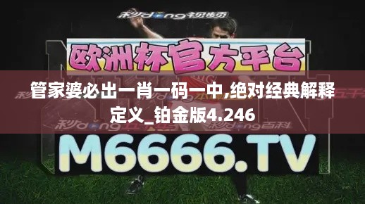 管家婆必出一肖一碼一中,絕對經(jīng)典解釋定義_鉑金版4.246