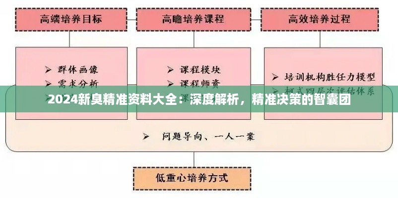 2024新臭精準(zhǔn)資料大全：深度解析，精準(zhǔn)決策的智囊團(tuán)