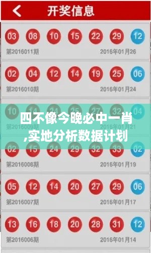 四不像今晚必中一肖,實地分析數據計劃_免費版19.264