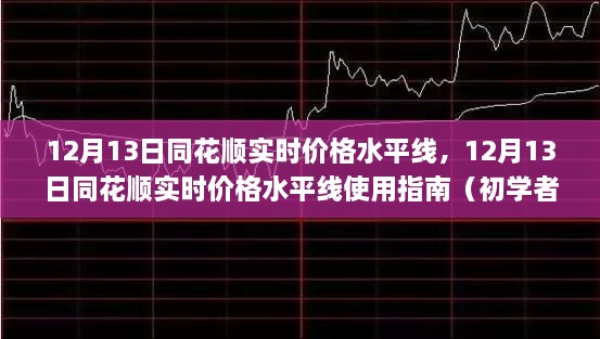 12月13日同花順實(shí)時(shí)價(jià)格水平線使用指南，從入門到進(jìn)階