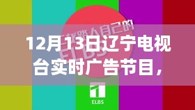 遼寧電視臺(tái)揭秘最新高科技產(chǎn)品，重塑未來(lái)生活體驗(yàn)直播秀