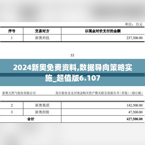 2024新奧免費資料,數(shù)據導向策略實施_超值版6.107