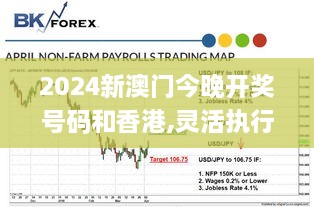 2024新澳門今晚開獎(jiǎng)號碼和香港,靈活執(zhí)行策略_C版110.434