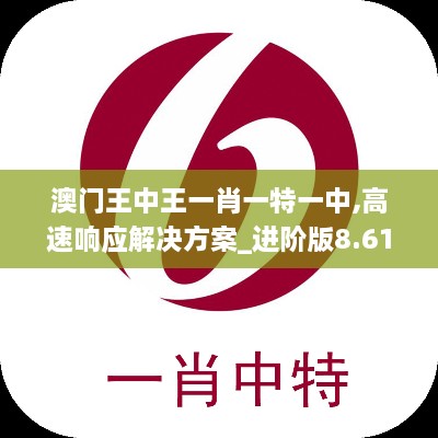 澳門王中王一肖一特一中,高速響應(yīng)解決方案_進階版8.613