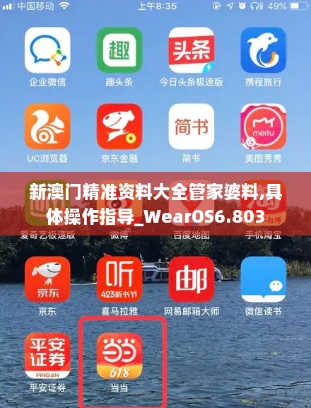 新澳門精準(zhǔn)資料大全管家婆料,具體操作指導(dǎo)_WearOS6.803