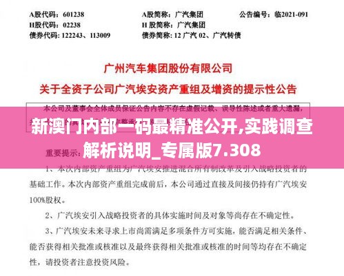 新澳門內(nèi)部一碼最精準(zhǔn)公開,實踐調(diào)查解析說明_專屬版7.308