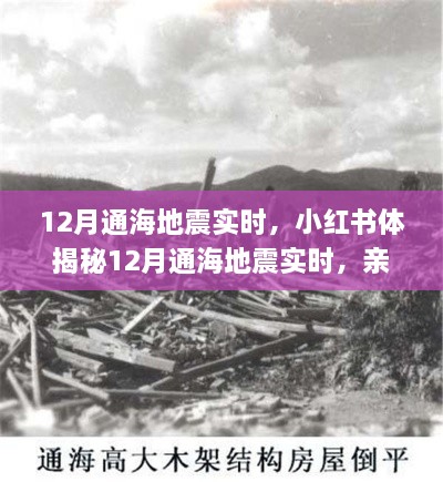 揭秘通海地震親歷者真實(shí)感受與應(yīng)對(duì)策略，小紅書實(shí)時(shí)更新地震動(dòng)態(tài)！