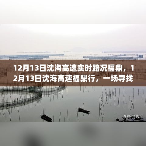 12月13日沈海高速福鼎路況實(shí)時(shí)更新，心靈與自然之旅的親密接觸