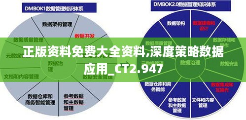 正版資料免費大全資料,深度策略數(shù)據(jù)應(yīng)用_CT2.947