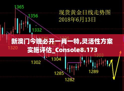 新澳門今晚必開一肖一特,靈活性方案實(shí)施評(píng)估_Console8.173