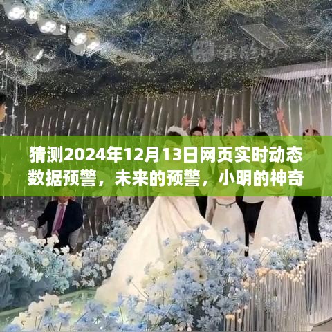 小明預(yù)測未來，神奇數(shù)據(jù)故事揭示2024年12月13日網(wǎng)頁實(shí)時動態(tài)數(shù)據(jù)預(yù)警