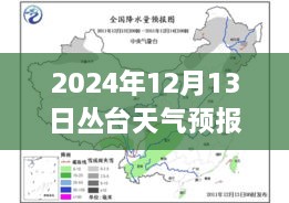 叢臺(tái)天氣預(yù)報(bào)實(shí)時(shí)洞察，2024年12月13日的天氣分析與影響