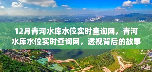 透視背后的故事與影響，青河水庫水位實時查詢網(wǎng)深度解析（附實時數(shù)據(jù)）