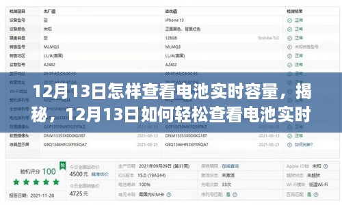 揭秘，如何輕松查看電池實(shí)時(shí)容量（12月13日指南）