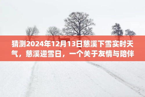 慈溪雪日溫情，友情與陪伴的溫馨故事，預(yù)測2024年12月13日實(shí)時(shí)天氣