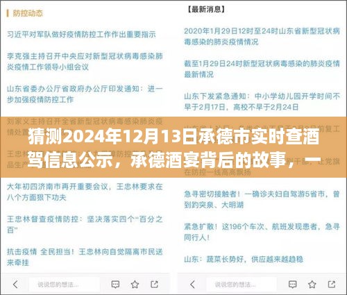 承德酒宴背后的故事，酒駕信息公示探秘之旅（猜測(cè)2024年12月13日承德市實(shí)時(shí)查酒駕信息公示）