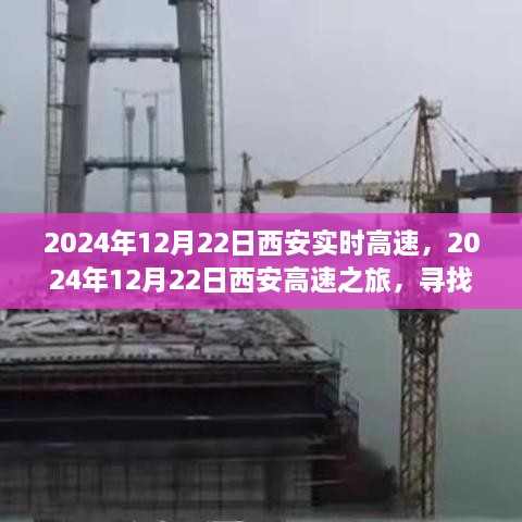 西安高速之旅，探尋自然懷抱，心靈寧靜之旅（2024年12月22日）