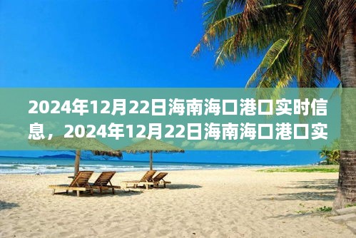 2024年12月22日海南?？诟劭趯崟r信息全解析，小紅書帶你掌握最新動態(tài)