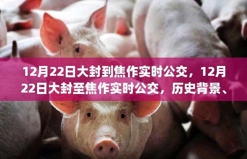 揭秘焦作大封至焦作公交歷史背景，重大事件與深遠(yuǎn)影響，實(shí)時(shí)公交路線解析