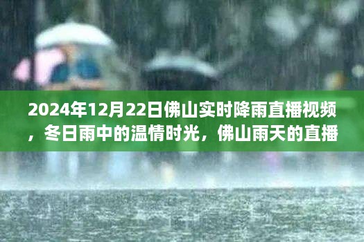 溫情時光與友情故事，佛山雨天直播實錄，實時降雨直播視頻