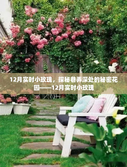 探秘巷弄深處的秘密花園，12月實時小玫瑰盛開記