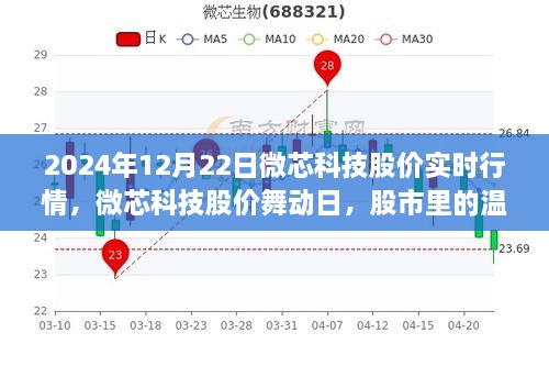 微芯科技股價(jià)實(shí)時(shí)行情解析，股市中的溫情故事在舞動(dòng)日展現(xiàn)（2024年12月22日）