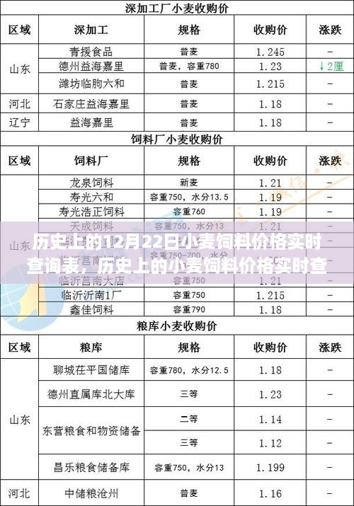 歷史上的小麥飼料價格實時查詢表，聚焦12月22日的觀察與變化