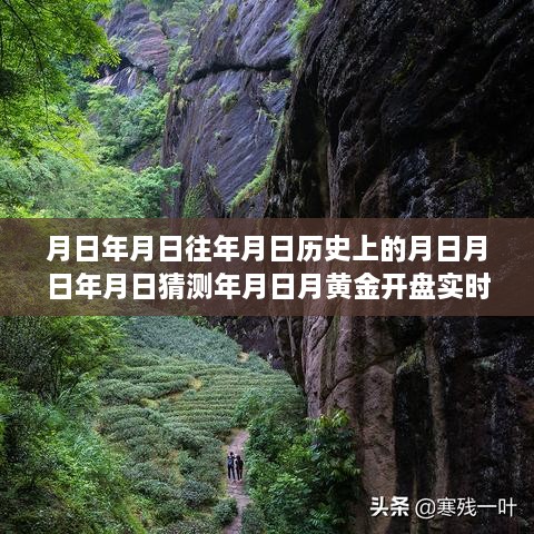 黃金行情揭秘，歷史、預(yù)測(cè)與實(shí)時(shí)動(dòng)態(tài)的交織