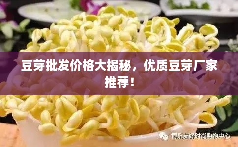 豆芽批發(fā)價(jià)格大揭秘，優(yōu)質(zhì)豆芽廠家推薦！