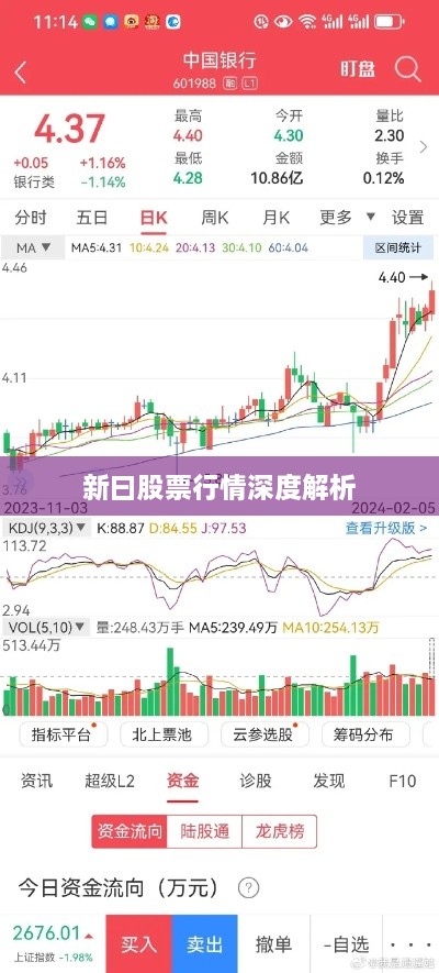 新曰股票行情深度解析