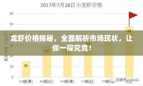 龍蝦價格揭秘，全面解析市場現(xiàn)狀，讓你一探究竟！