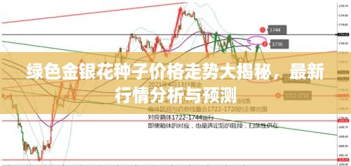 綠色金銀花種子價(jià)格走勢大揭秘，最新行情分析與預(yù)測