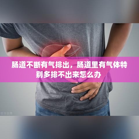 腸道不斷有氣排出，腸道里有氣體特別多排不出來怎么辦 