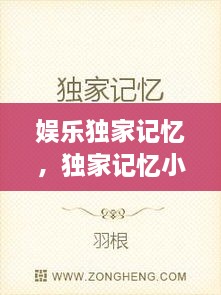 娛樂獨家記憶，獨家記憶小說完整版 