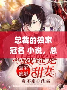 總裁的獨家冠名 小說，總裁的獨家盛寵全文免費閱讀 